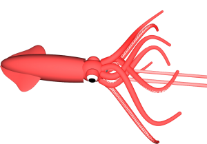 Squid PNG-47178